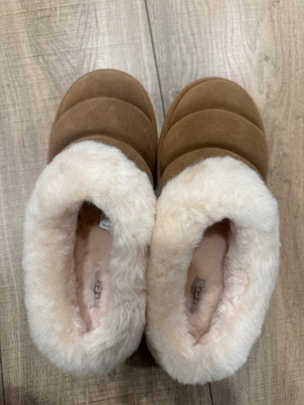 UGG slippers